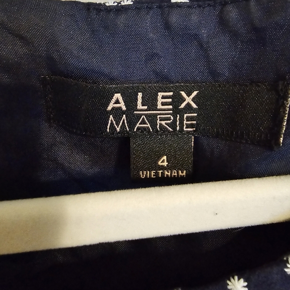 Alex Marie chevron print dress size 4 - Picture 3 of 4